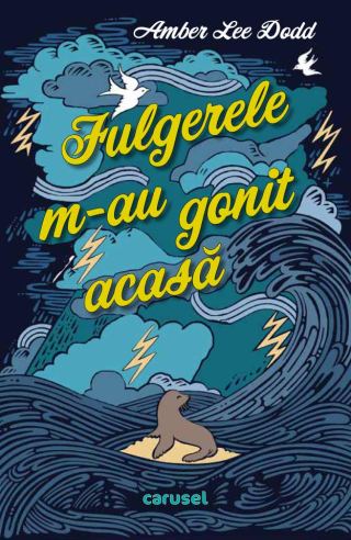 Fulgerele m-au gonit acasă